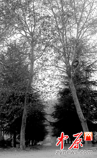 ͨ���S�^(q��)�����ɵ��������φT�����Q�顰���a�������