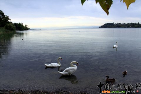 �u�ϱ������O����õ����B�h������Ⱥ�����Z����ͯԒ