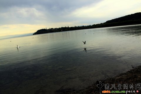 С�u���������Ĳ��Ǻ����c��ʿ����