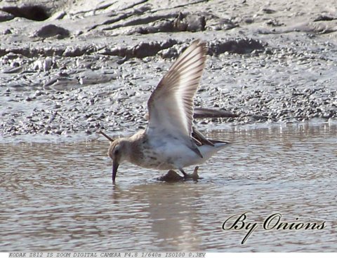 ��˹��ԓ�Ŀּ���������������Ї���صė�Ϣ��