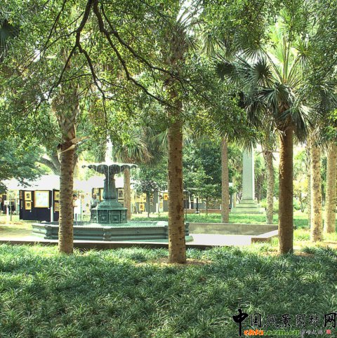 �頖˹�D�������V��(ch��ng)