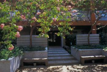 佐佐木葉二作品系列展示(六):東丘花園