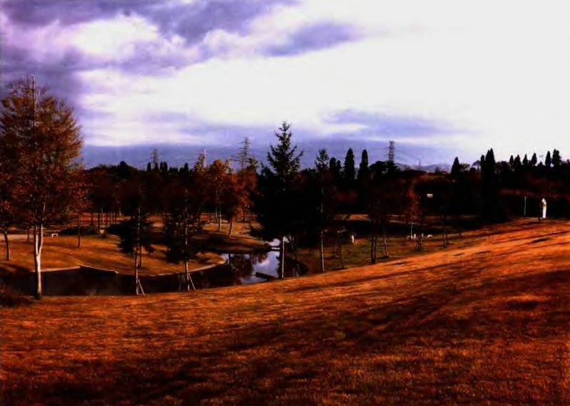 戶田芳樹作品：綠色津南中央庭園 水磨式景觀 中國風景園林網