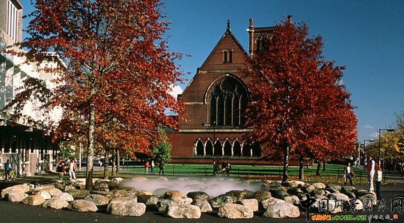 風景園林 彼得沃克