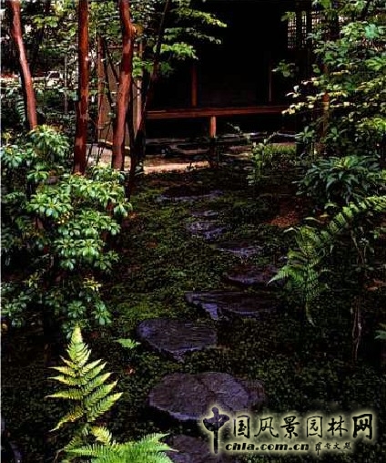 枡野俊明 中庭 瀑松庭