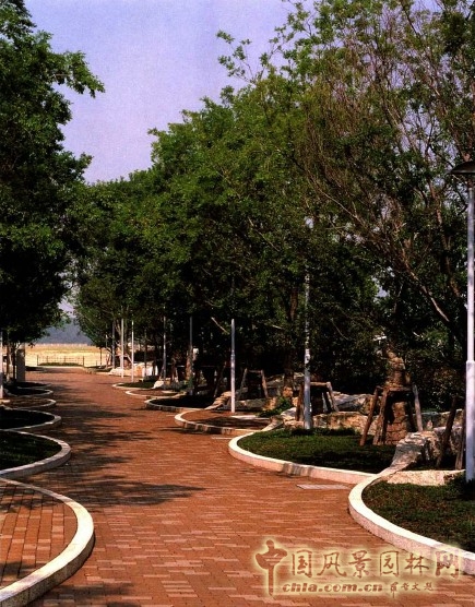 枡野俊明 香川 圖書館