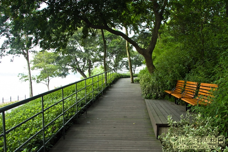 盛葉夏樹 雕塑公園 景觀 實景圖