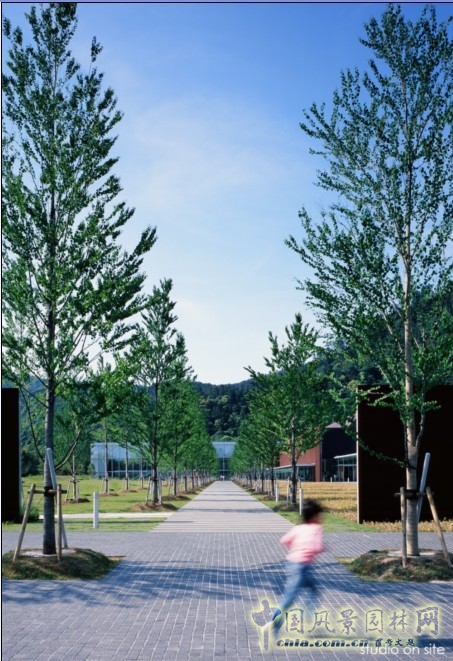 島根縣立古代出云歷史博物館全景 三谷徹 風(fēng)景園林 學(xué)術(shù)報(bào)告