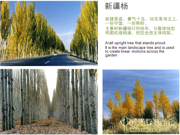 北京園博會設計師廣場 獲獎作品 流動的窗 顧志凌 景觀設計 中國風景園林網