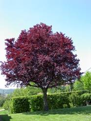 北京園博會設計師廣場 獲獎作品 流動的窗 顧志凌 景觀設計 中國風景園林網