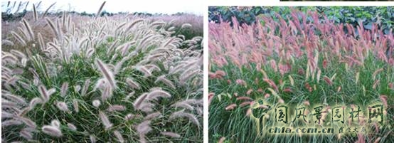 北京園博會設計師廣場 獲獎作品 流動的窗 顧志凌 景觀設計 中國風景園林網