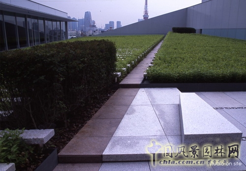 三谷徹 作品 朝日電視臺屋頂庭園 北京園博會 中國風景園林網