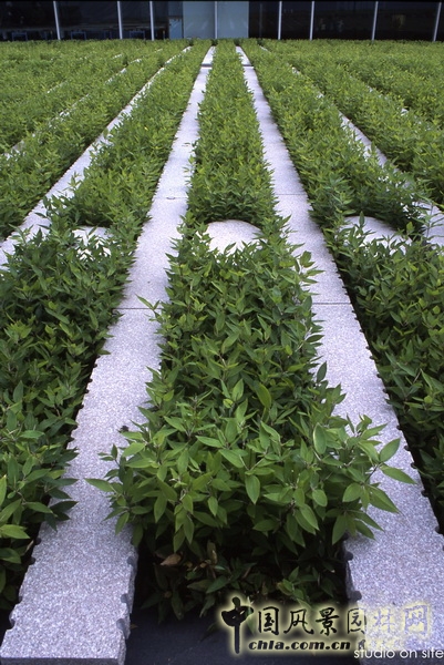 三谷徹 作品 朝日電視臺屋頂庭園 北京園博會 中國風景園林網