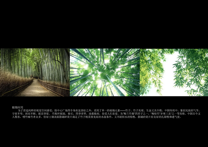 汪杰 瓷源 北京園博會 設計師廣場 競賽 獲獎 中國風景園林網