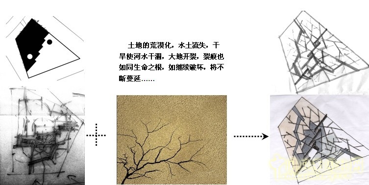 鏡園 張建林 雨水收集系統(tǒng) 園林植物 設計 園林 景觀