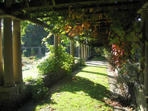 杰基爾 花園 藝術