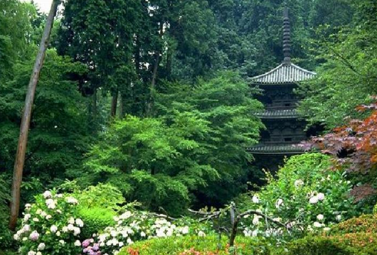 日本 景觀 庭院 設計 中國風景園林網