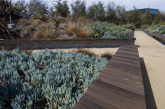 德克薩斯州 沃斯堡市 伯納特 公園 中國(guó)風(fēng)景園林網(wǎng)