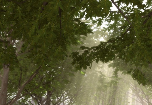 911 911國家紀(jì)念館 邁克阿拉德