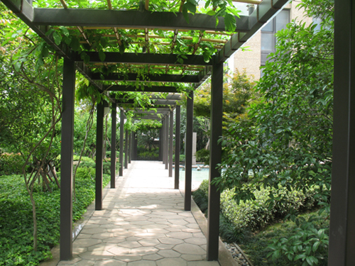 泰和·天辰國際 空中花園 屋頂綠化 中國風景園林網