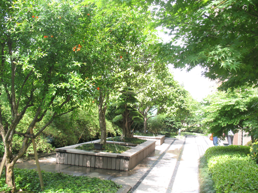 泰和·天辰國際 空中花園 屋頂綠化 中國風景園林網