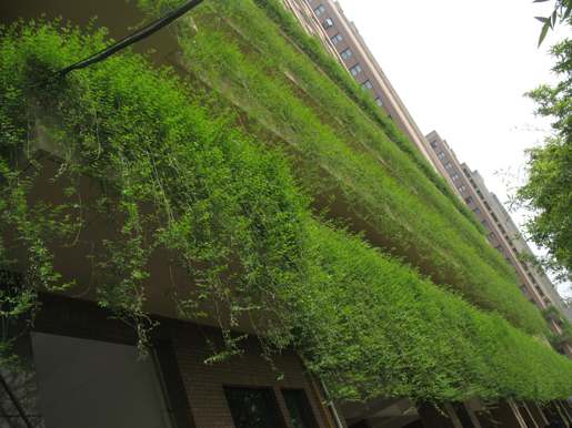 泰和·天辰國際 空中花園 屋頂綠化 中國風景園林網