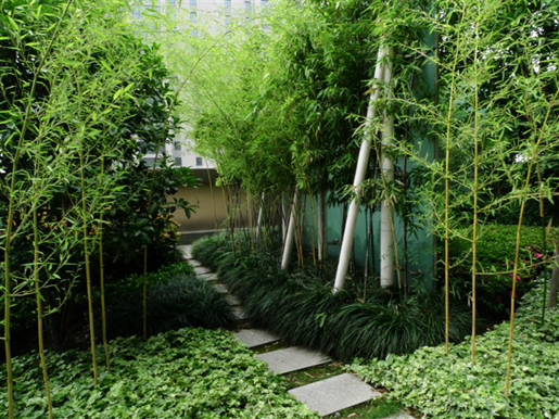 泰和·天辰國際 空中花園 屋頂綠化 中國風景園林網