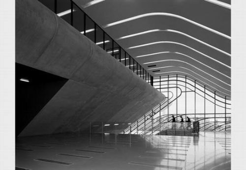 扎哈·哈迪德蒙彼利埃“智慧樹”項目