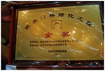 圖為神農城項目所獲獎牌