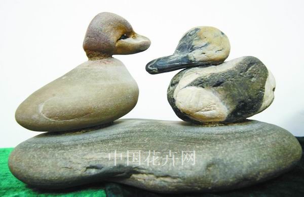 賞石 植物 動物