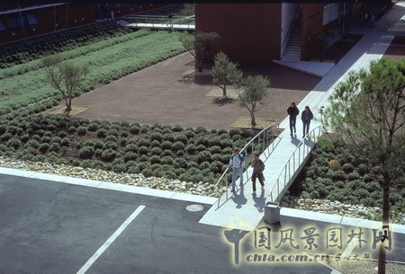 聯(lián)系各建筑平臺之間的小橋