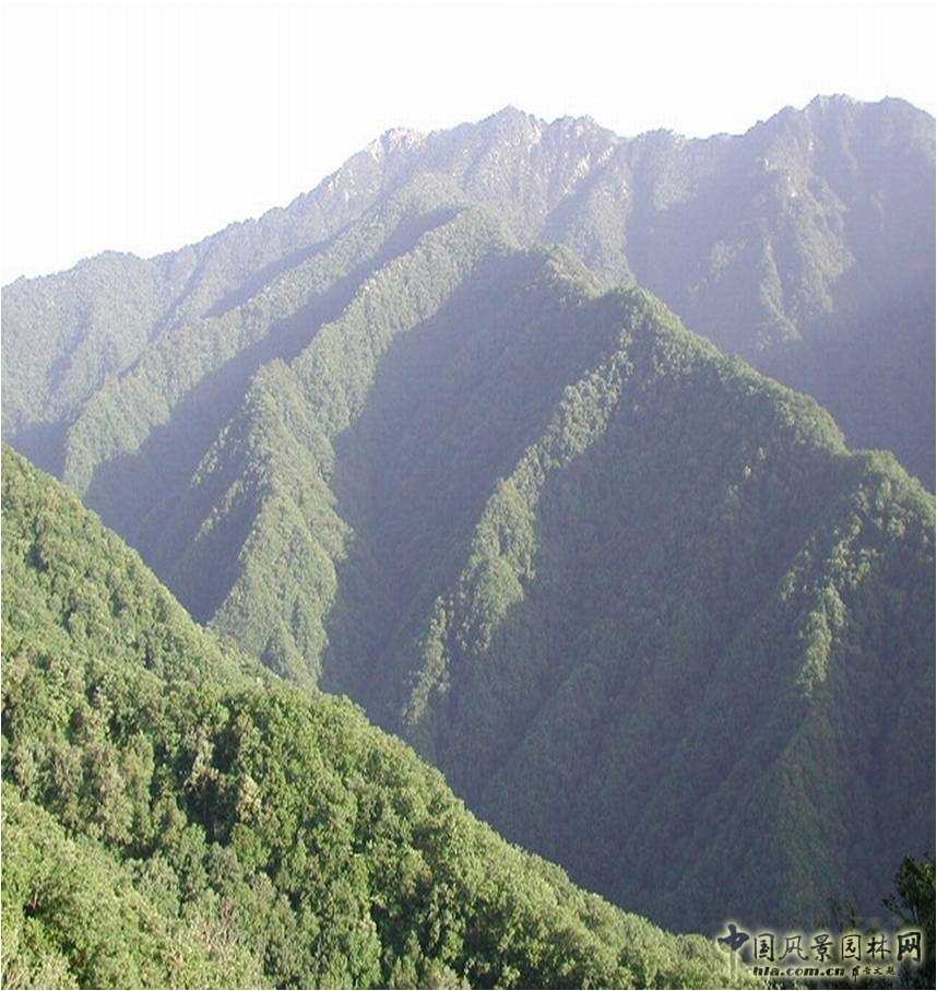秦嶺山脈