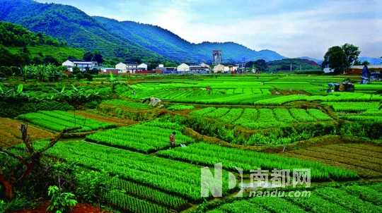 濕地公園 濕地保護 公園建設 濕地公約