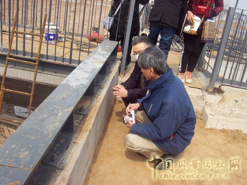 三谷徹 大師園 標(biāo)記地點(diǎn) 三谷徹花園