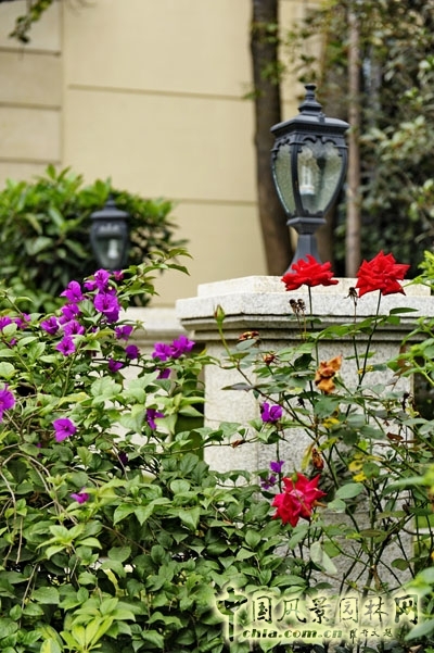 天開園林 萬科五龍山 景觀工程 住宅景觀