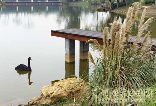 天開園林 萬科五龍山 景觀工程 住宅景觀