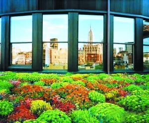 屋頂綠化 空間綠化 花園城市 城市綠化