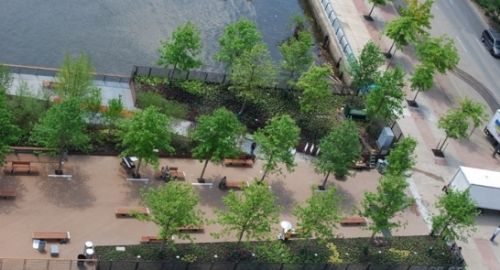 鳥瞰入口種植廣場