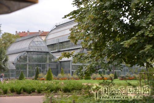 金頭公園大溫室