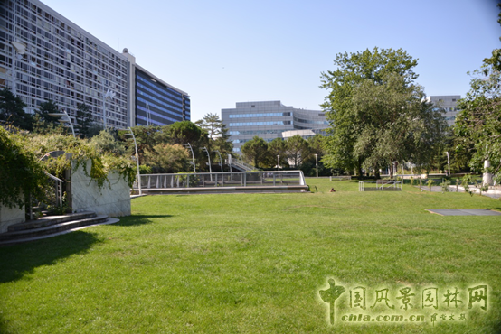 巴黎 蒙帕納斯車站 屋頂花園