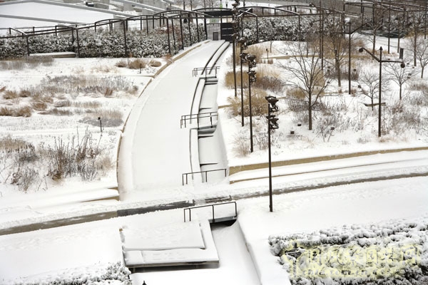在冬季花園內被雪覆蓋的景觀