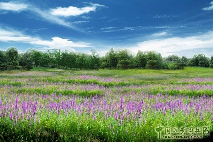 風景園林闡釋自然觀的技藝