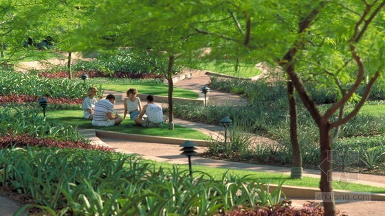 SWA設計的美國亞利桑那州鳳凰城