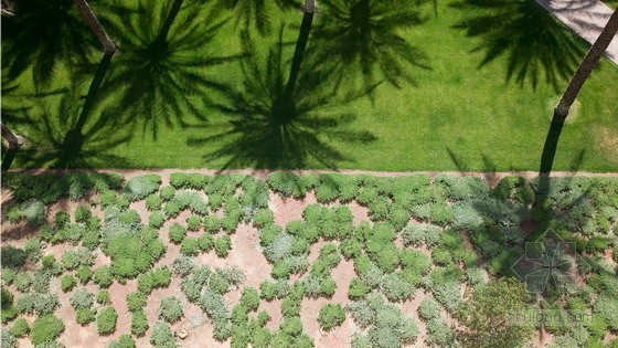 SWA設(shè)計(jì)的美國(guó)亞利桑那州鳳凰城