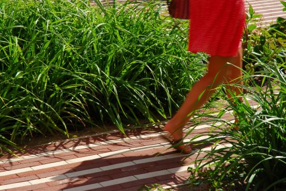 荷蘭阿姆斯特丹大學