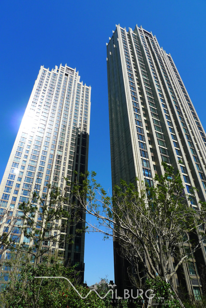 枡野俊明 禪意園林 景觀設計 海信天璽 造園設計