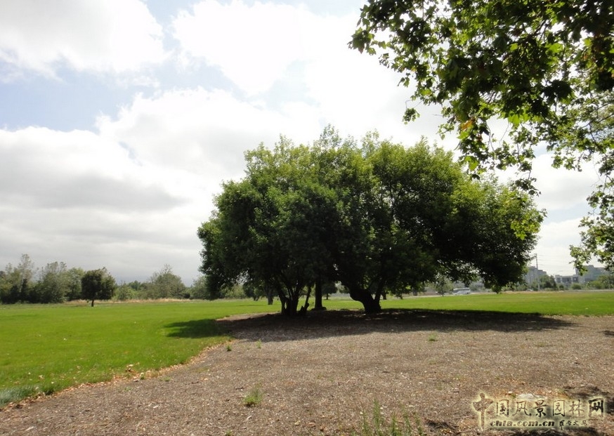 哥德魯普河公園