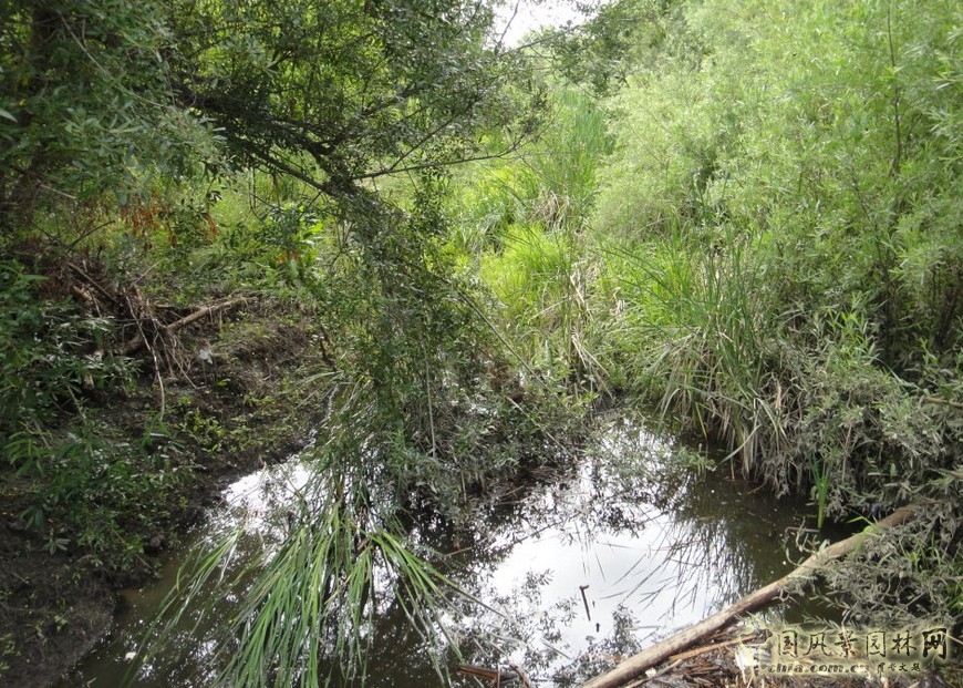 哥德魯普河公園