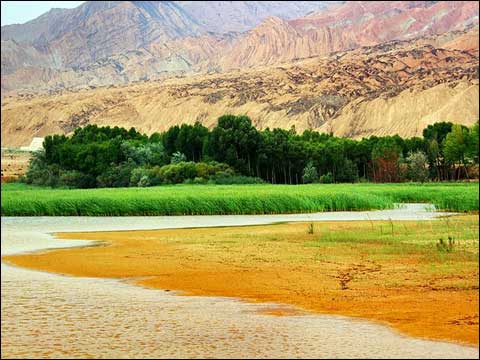 黃河濕地 濕地景觀 濕地保護