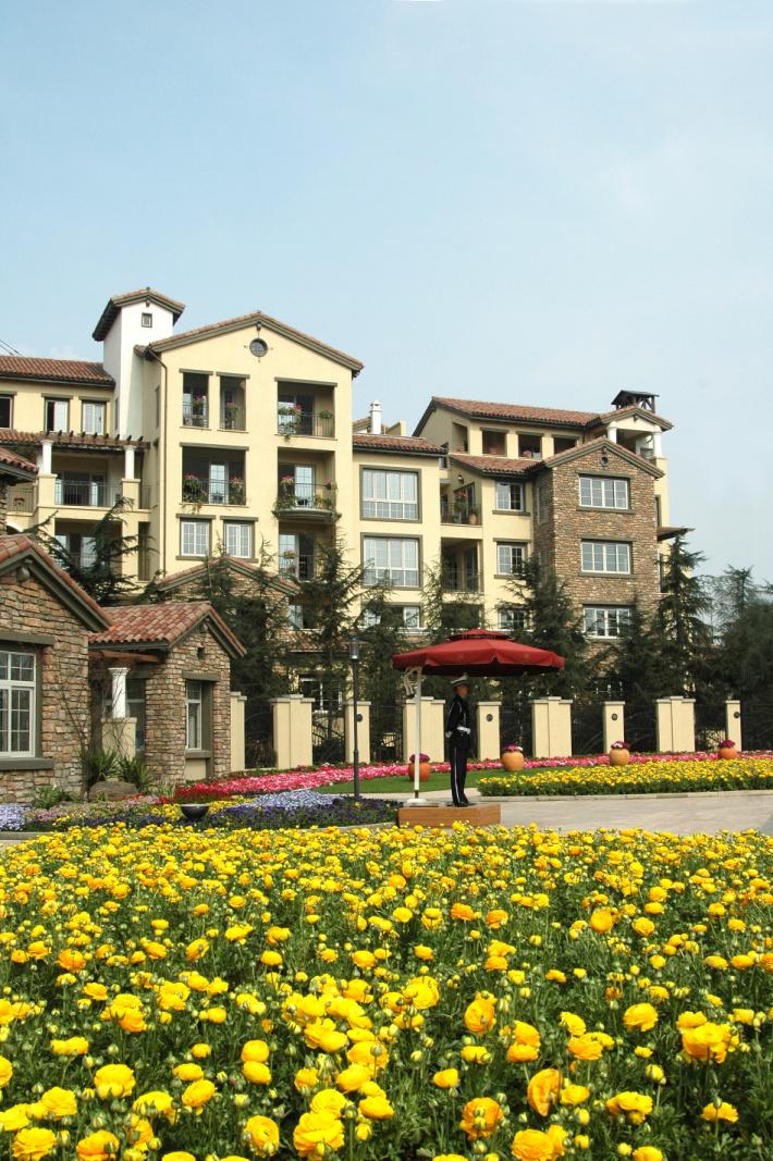 重慶龍湖佛萊明戈